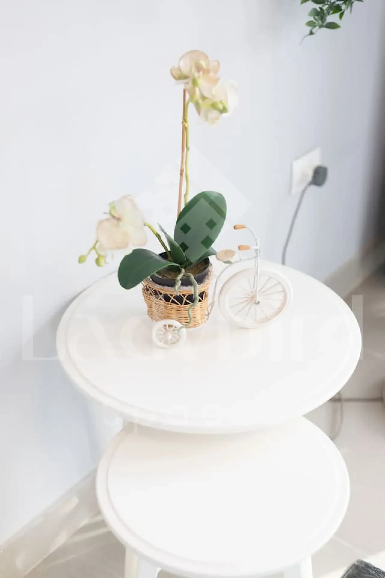 Ladybird - Sholan Penthouse — Sholan 1
