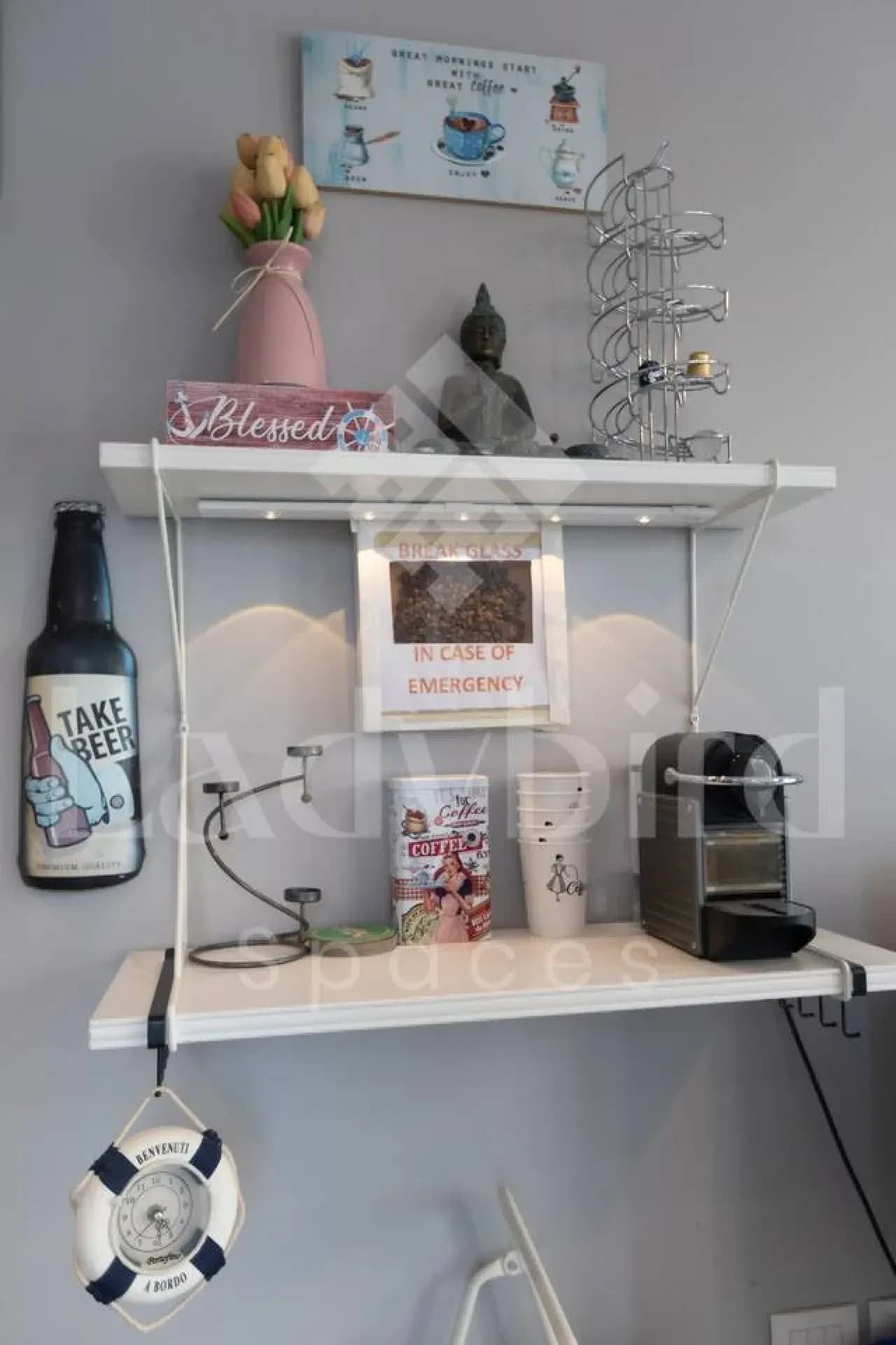 Ladybird - Sholan Penthouse — Sholan 1