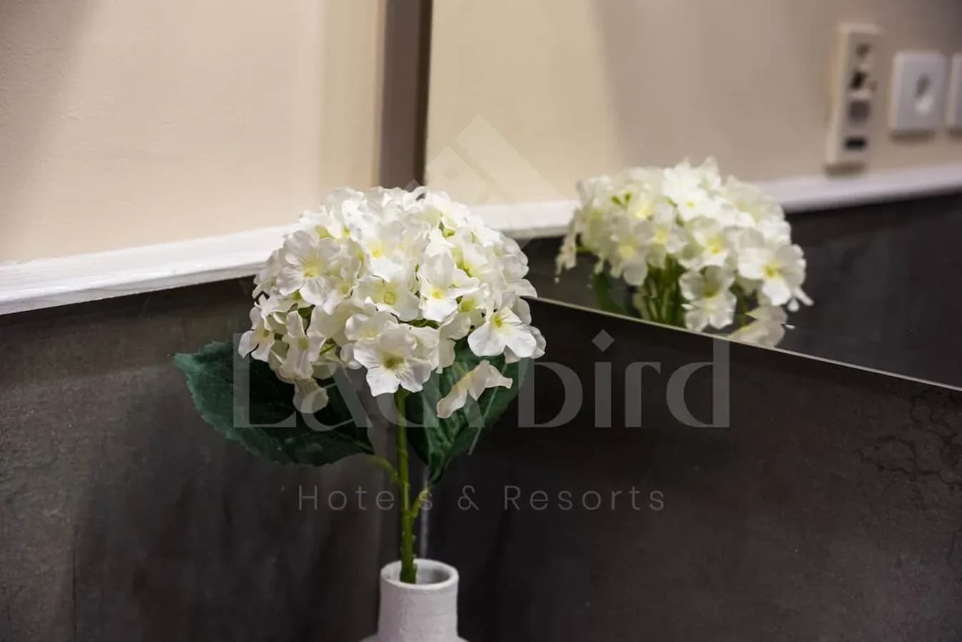 Ladybird - Azzurra Beauty — Sahl Hashish Road 7B103, Azzurra