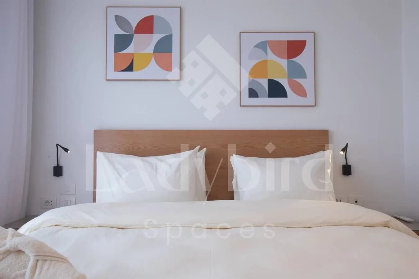 Ladybird - Kamaran Pearl — Kamaran, El-Gouna