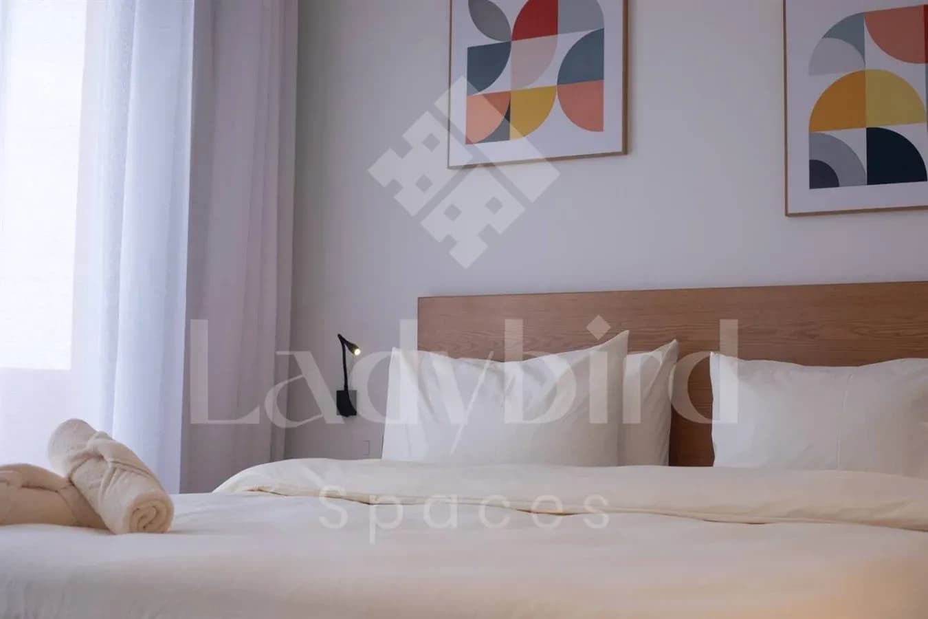 Ladybird - Kamaran Pearl — Kamaran, El-Gouna
