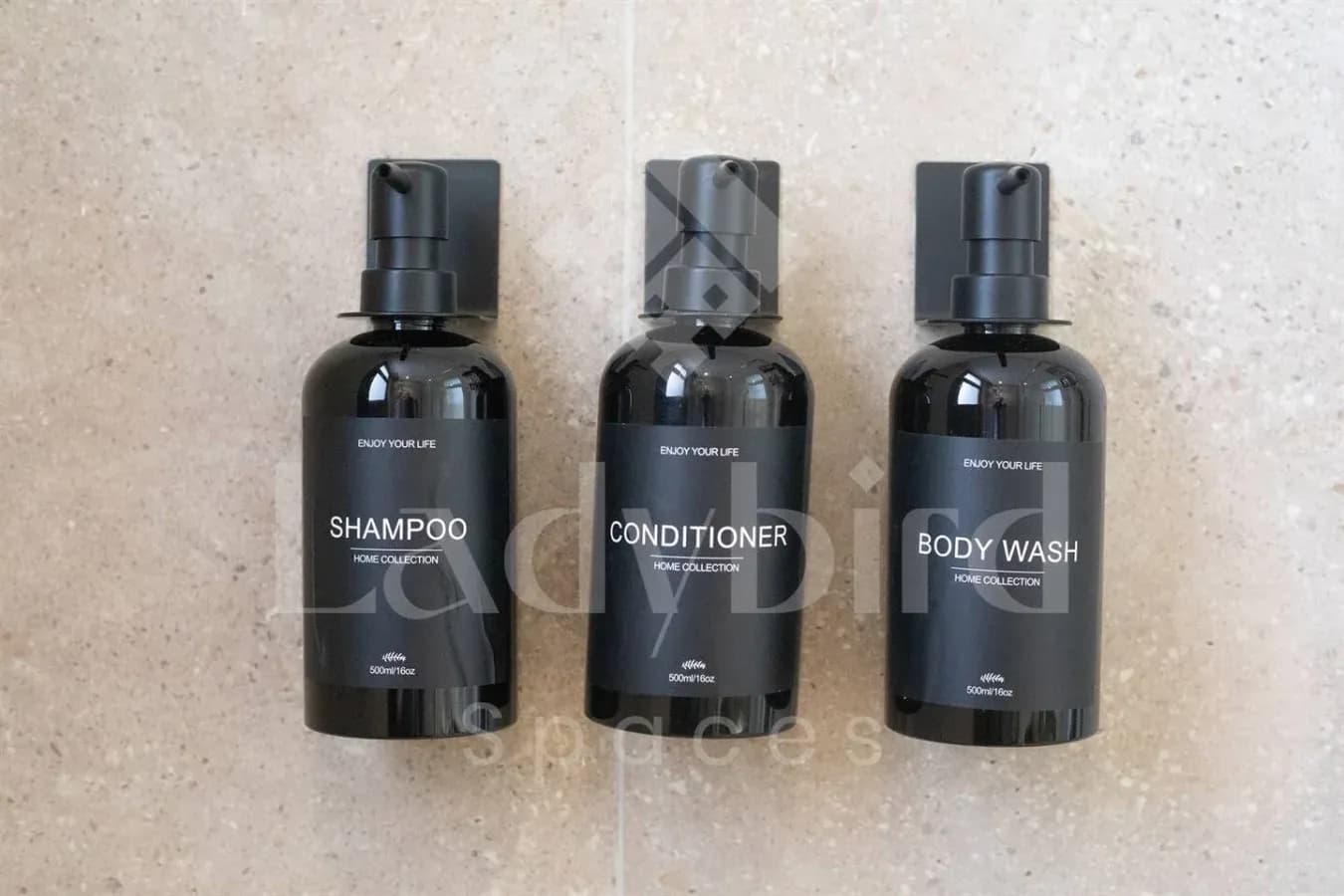 Ladybird - Kamaran Pearl — Kamaran, El-Gouna
