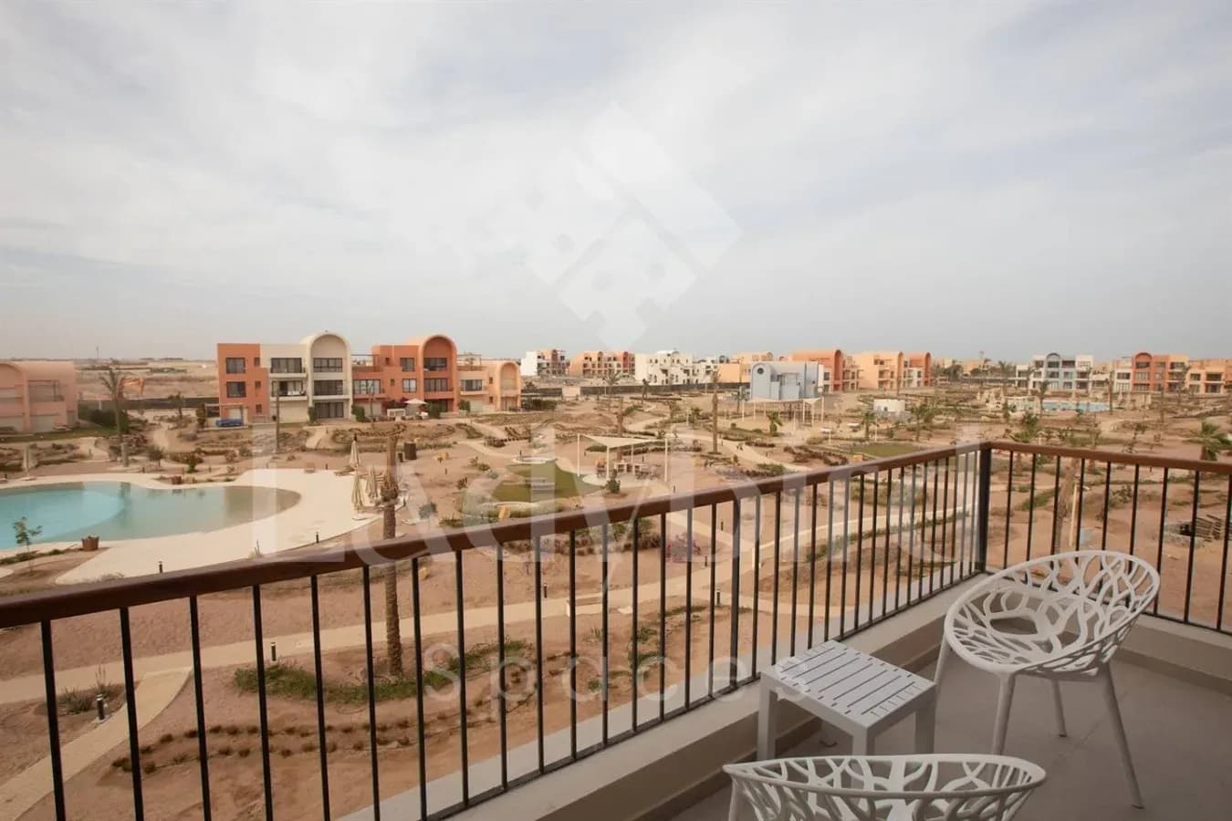 Ladybird - Kamaran Pearl — Kamaran, El-Gouna