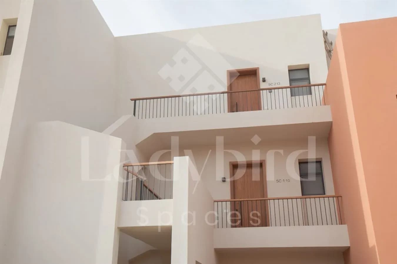 Ladybird - Kamaran Pearl — Kamaran, El-Gouna