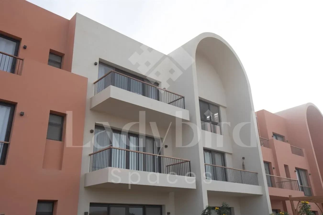 Ladybird - Kamaran Pearl — Kamaran, El-Gouna