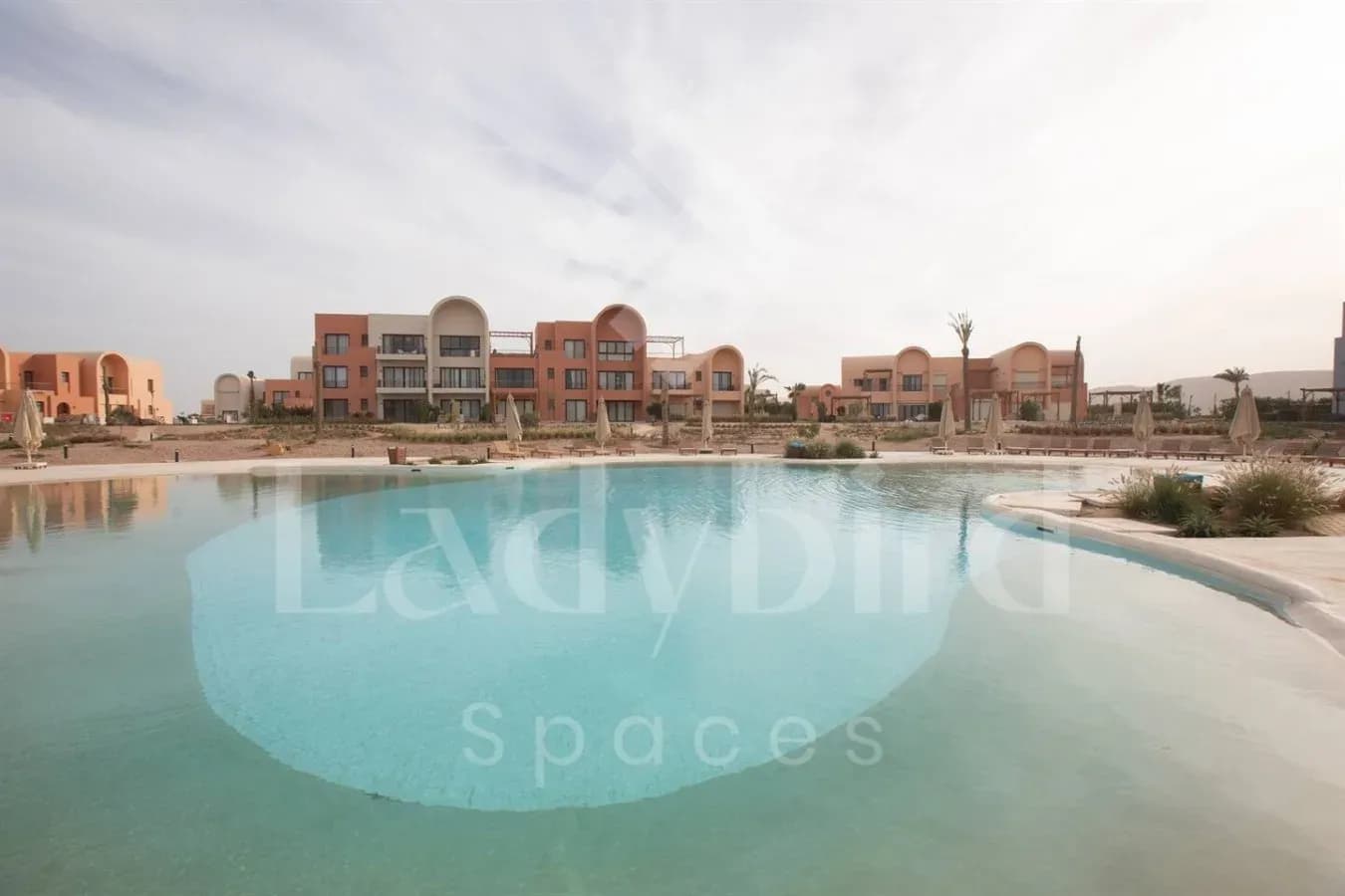 Ladybird - Kamaran Pearl — Kamaran, El-Gouna