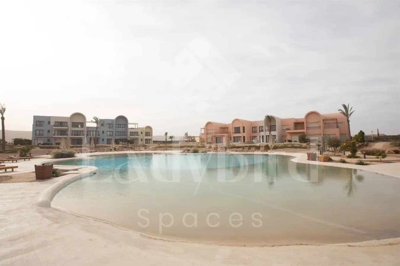 Ladybird - Kamaran Pearl — Kamaran, El-Gouna