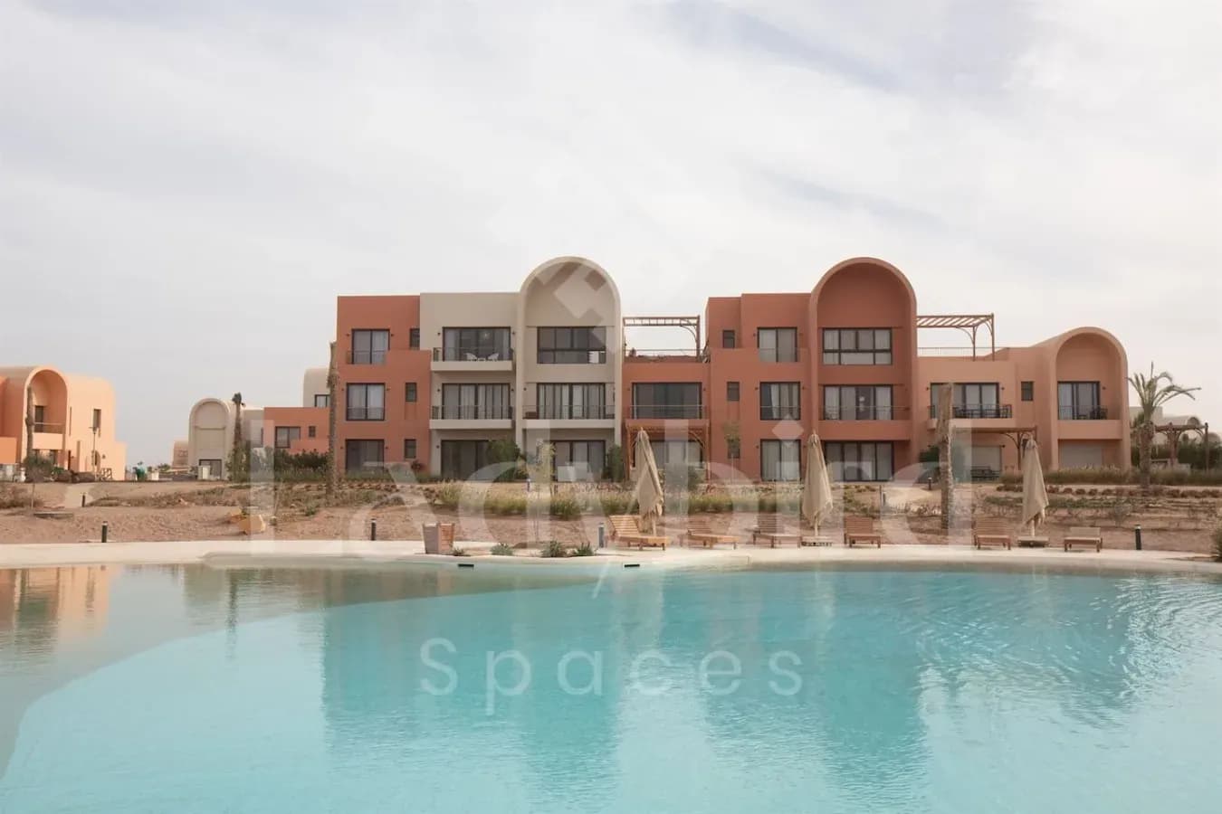 Ladybird - Kamaran Pearl — Kamaran, El-Gouna
