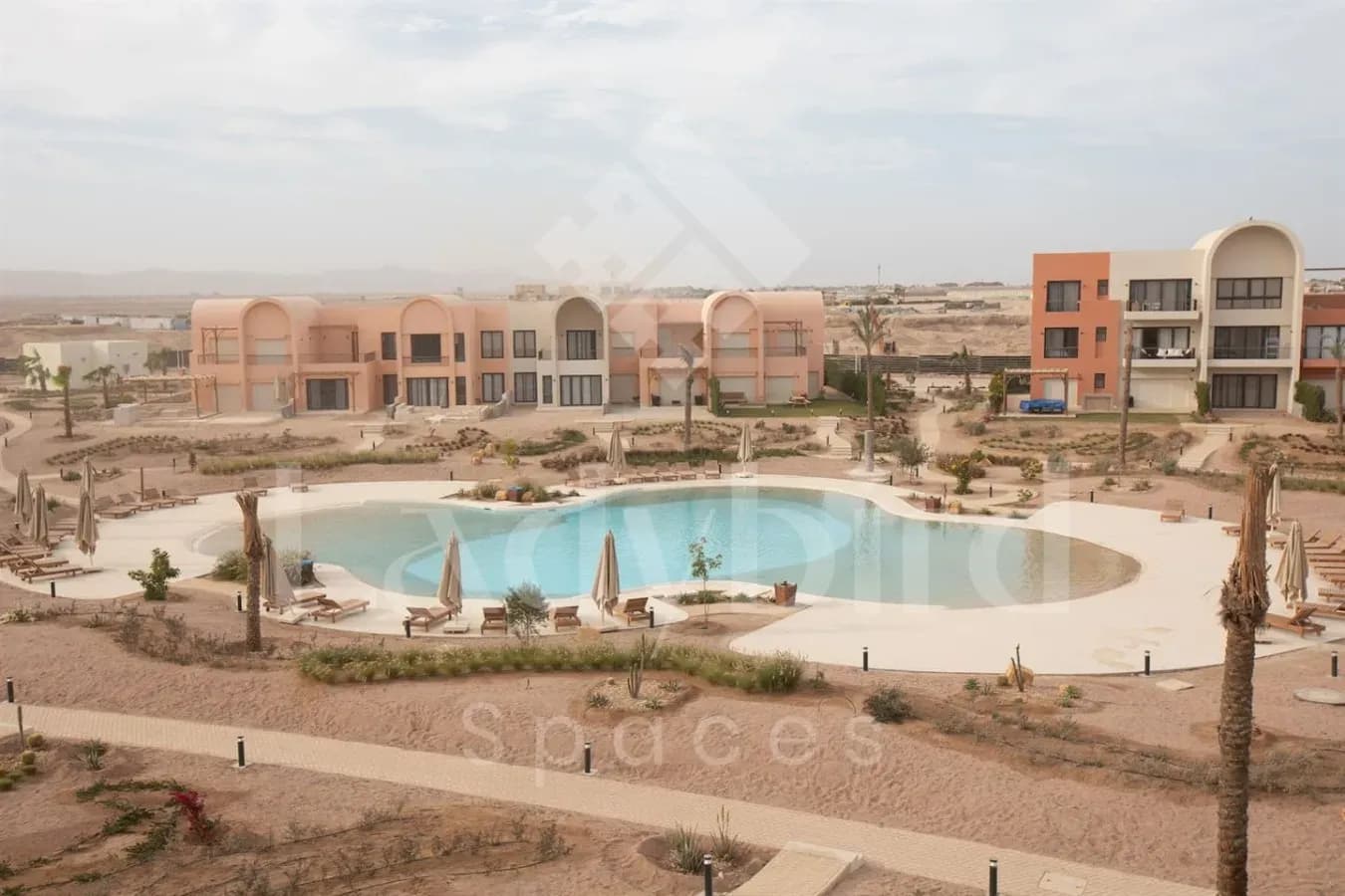 Ladybird - Kamaran Pearl — Kamaran, El-Gouna