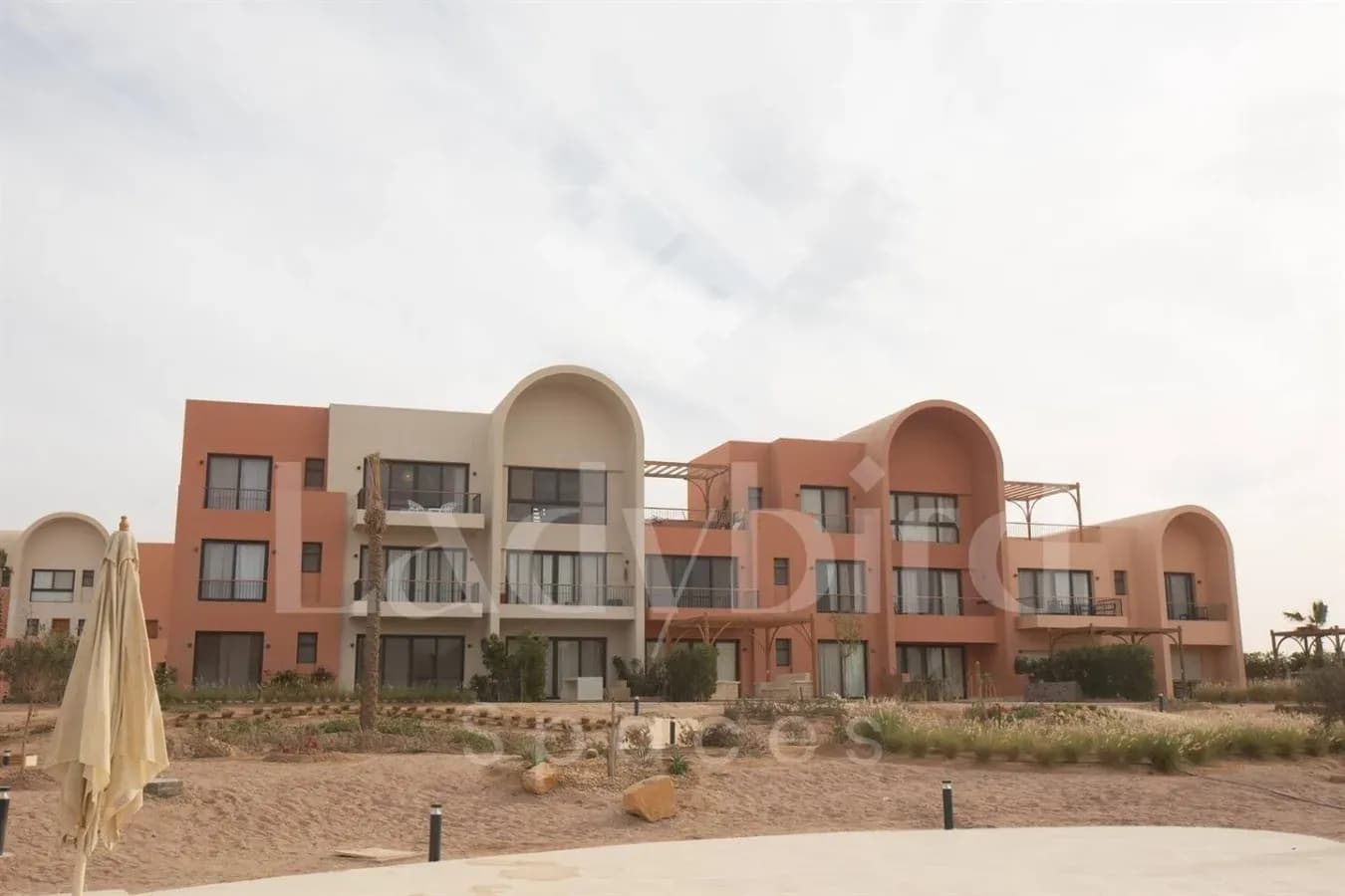 Ladybird - Kamaran Pearl — Kamaran, El-Gouna