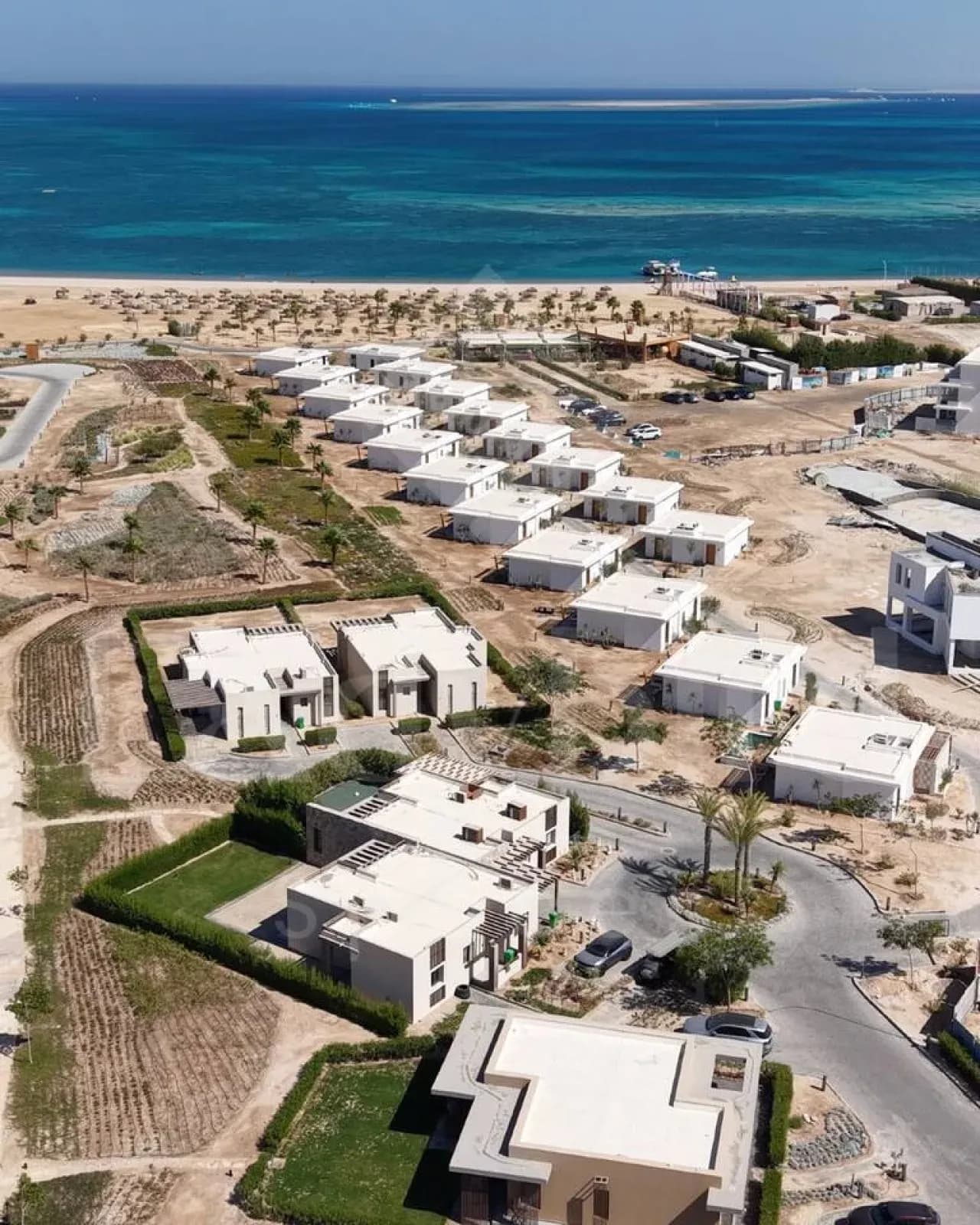 Ladybird - Maison Blanche — Mesca, Somabay
