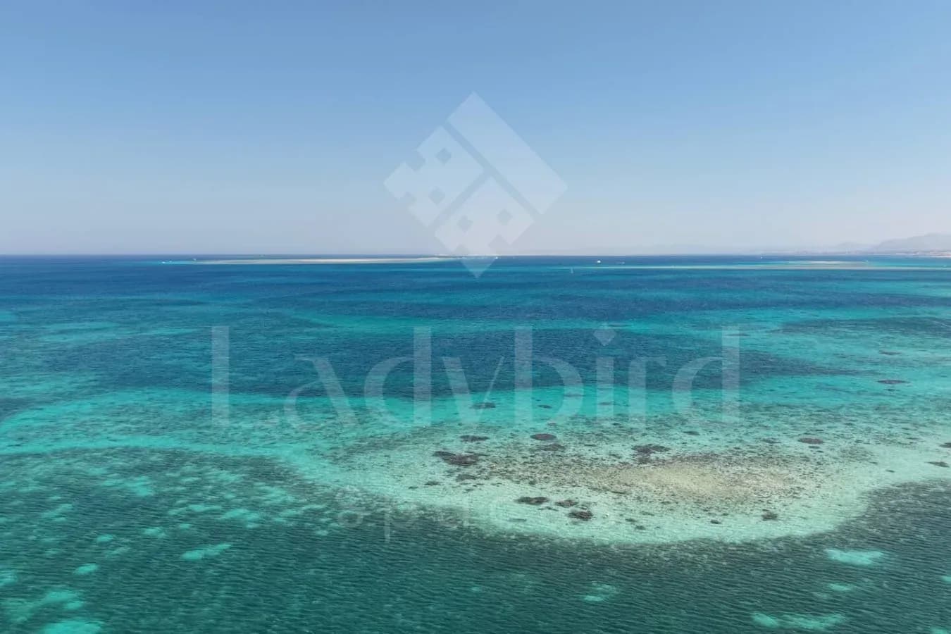 Ladybird - Maison Blanche — Mesca, Somabay