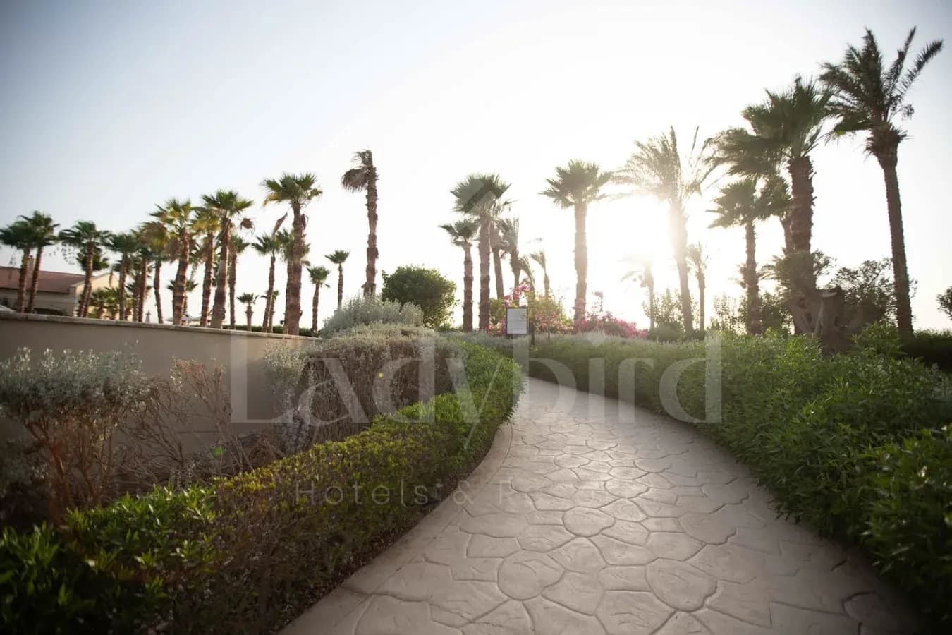 Ladybird - Veranda Eden — Sahl Hasheesh, Hurghada