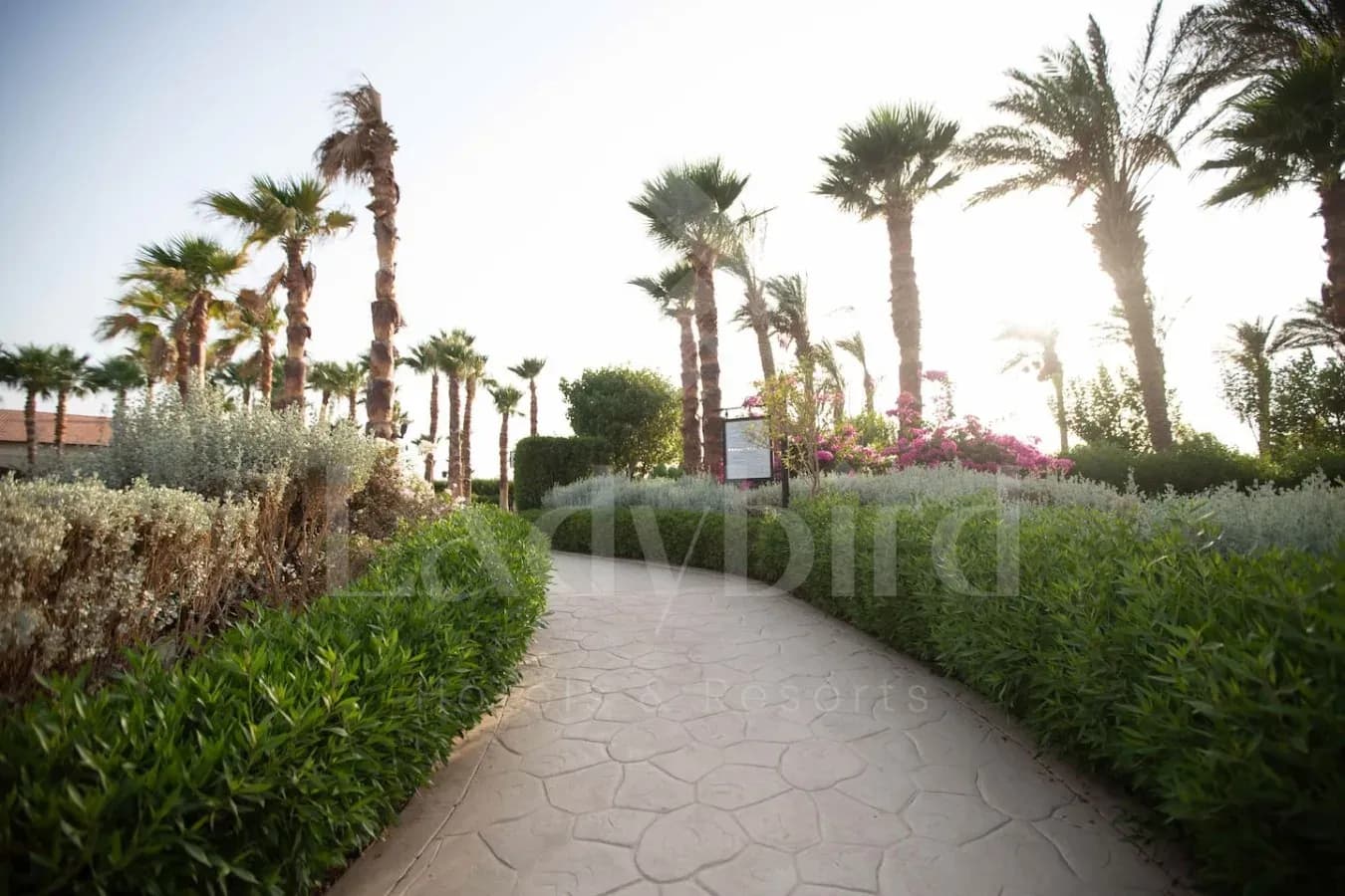 Ladybird - Veranda Eden — Sahl Hasheesh, Hurghada