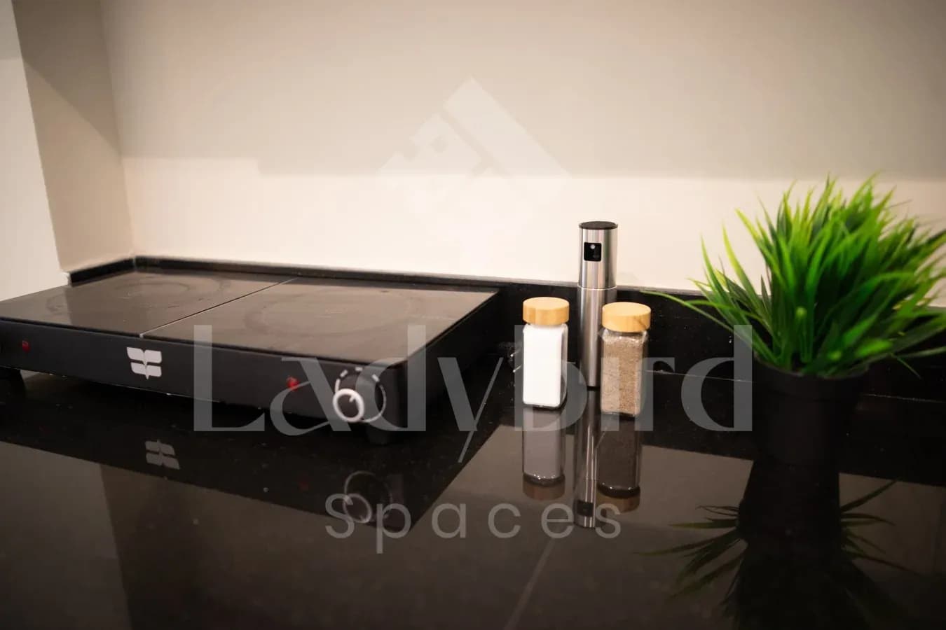 Ladybird - Veranda Eden — Sahl Hasheesh, Hurghada