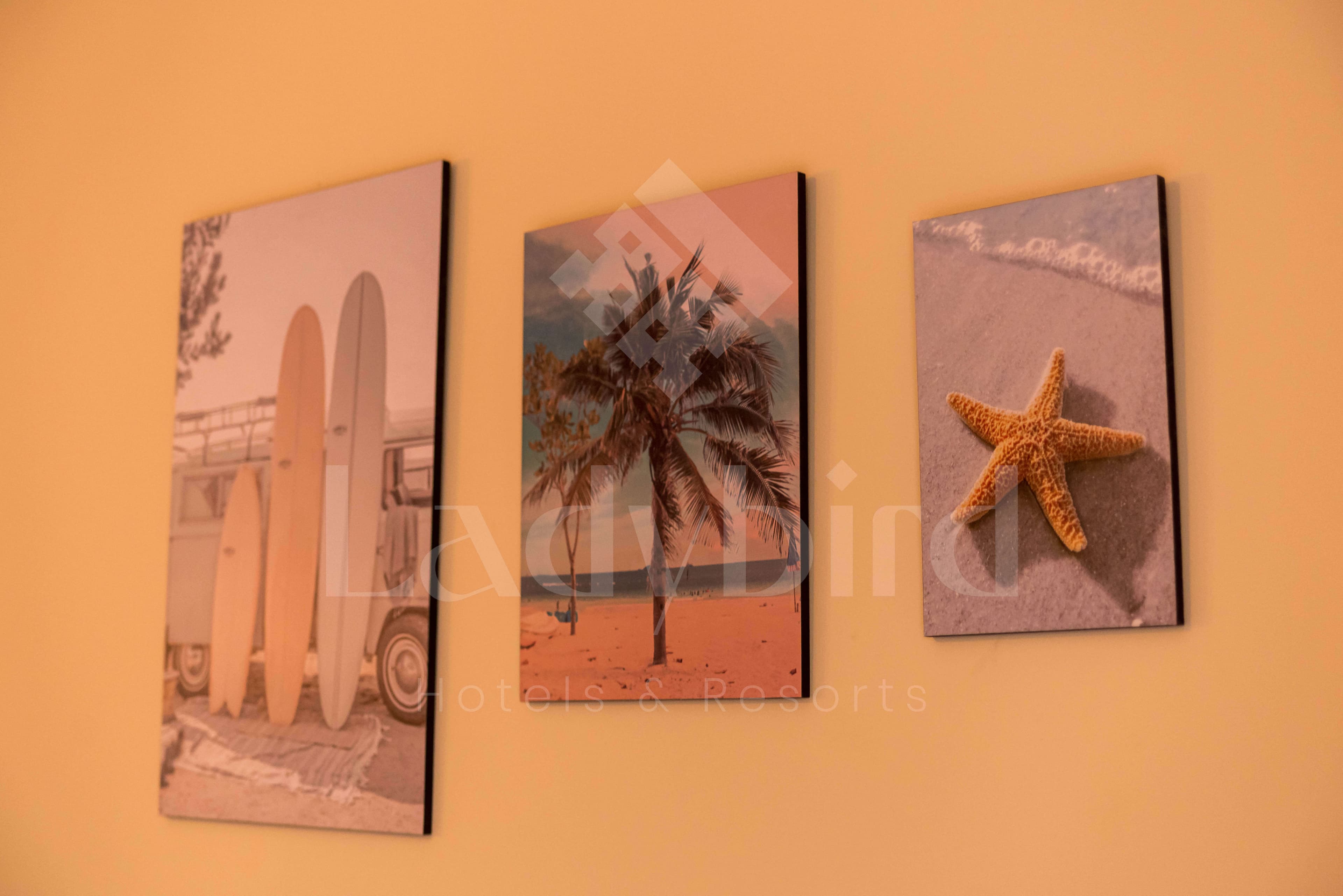 Ladybird - Azzurra 1 Bedroom Apt — az_27.jpg