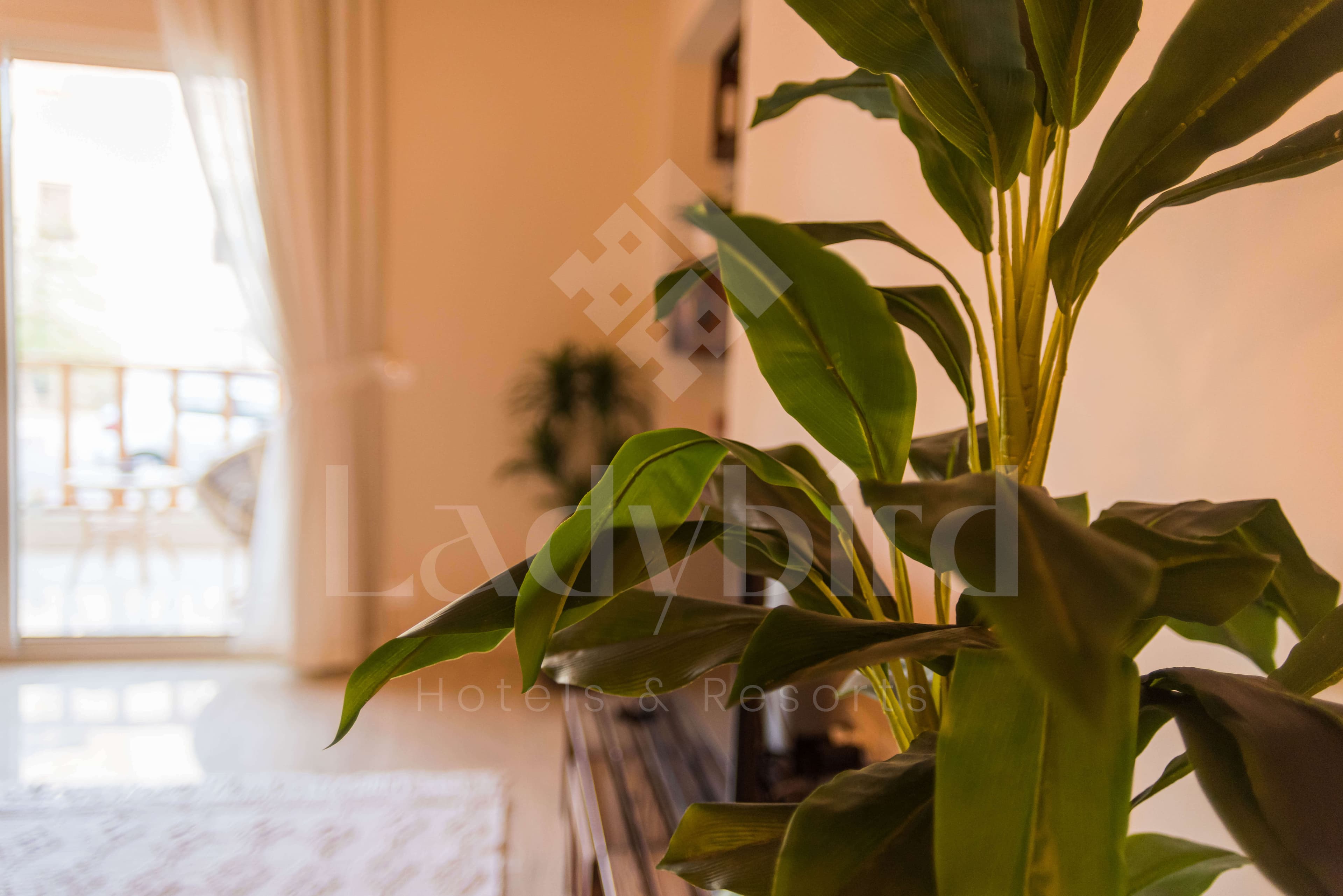 Ladybird - Azzurra 1 Bedroom Apt — az_29.jpg