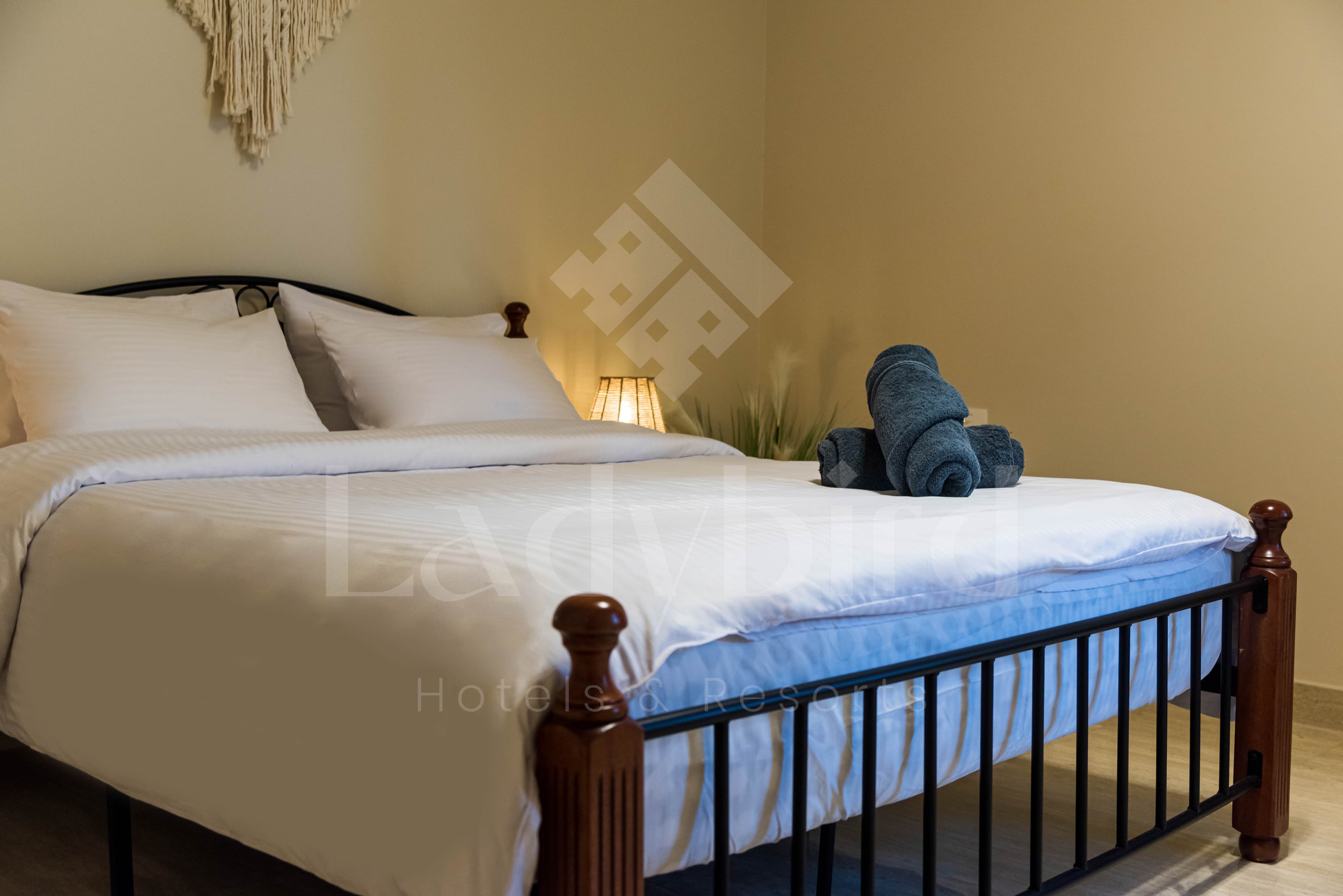 Ladybird - Azzurra 1 Bedroom Apt — az_41.jpg