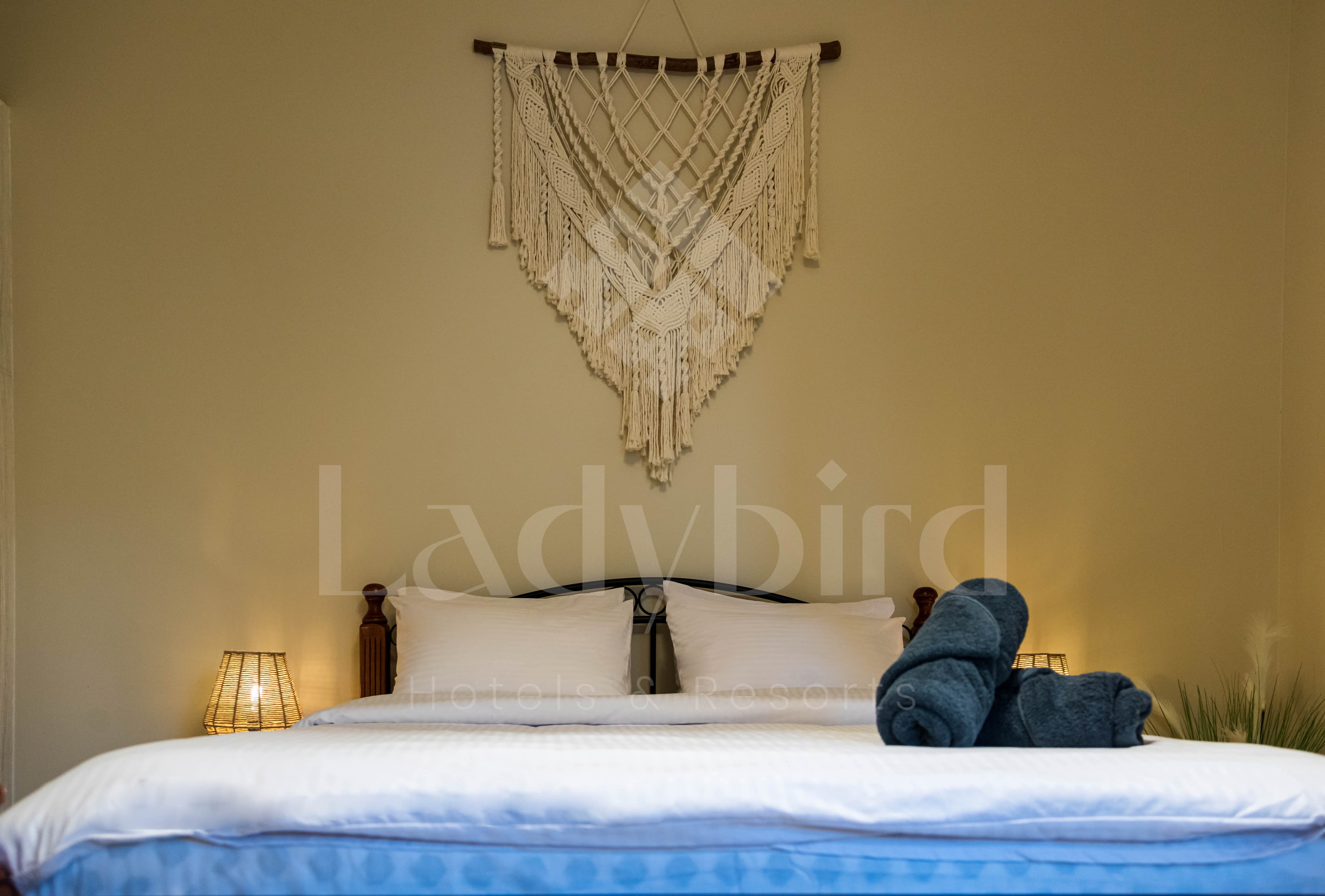Ladybird - Azzurra 1 Bedroom Apt — az_42.jpg