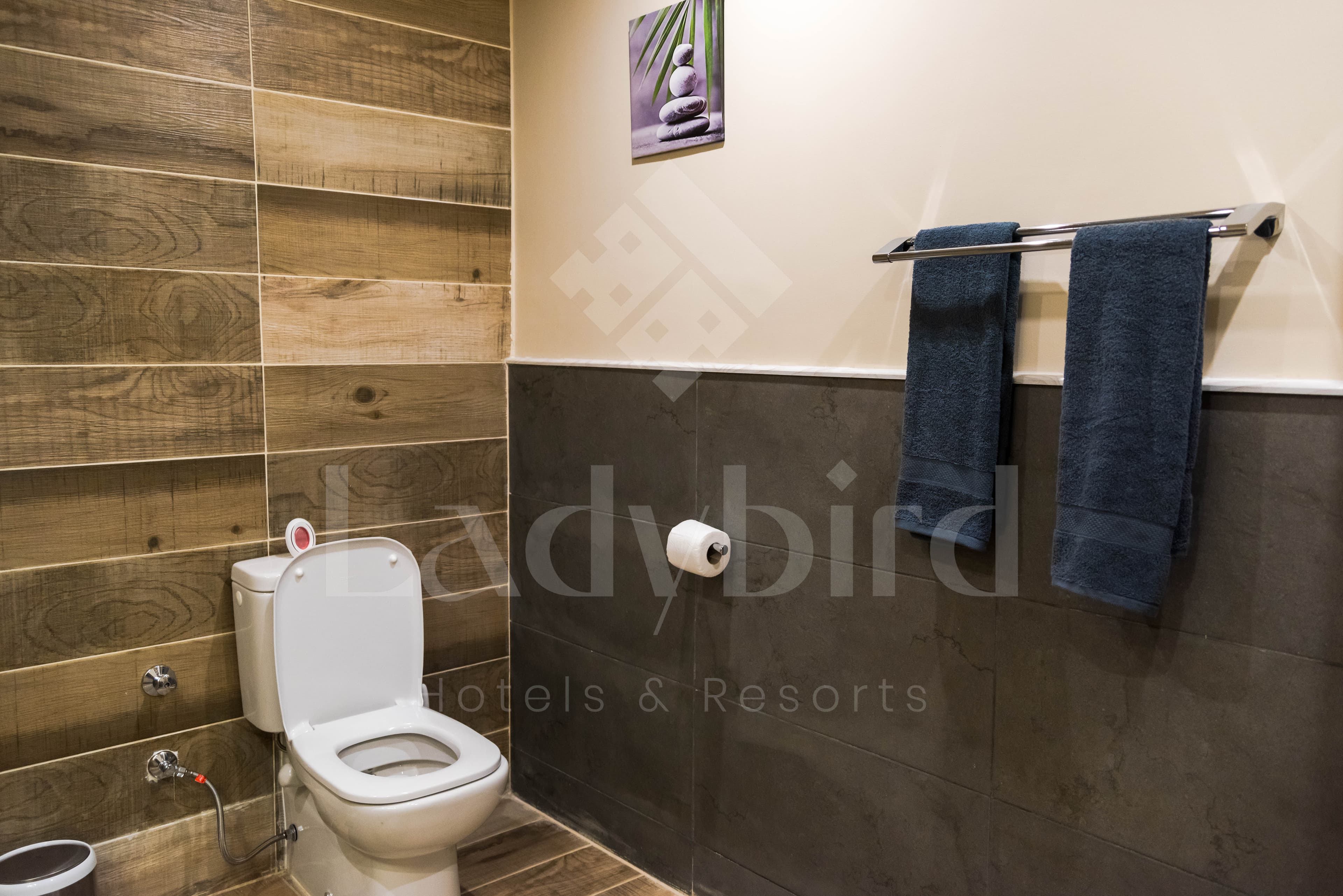 Ladybird - Azzurra 1 Bedroom Apt — az_52.jpg