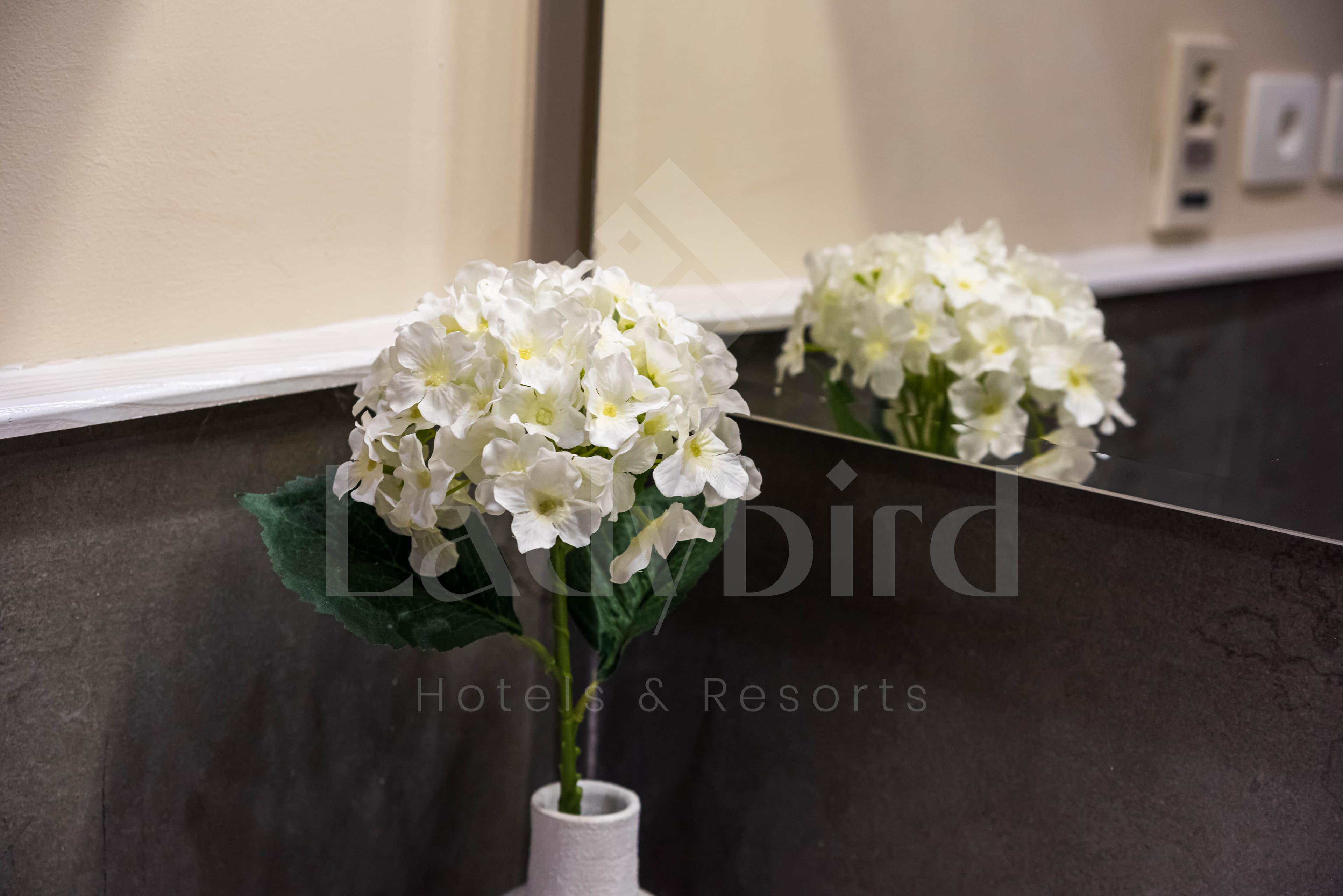 Ladybird - Azzurra 1 Bedroom Apt — az_55.jpg