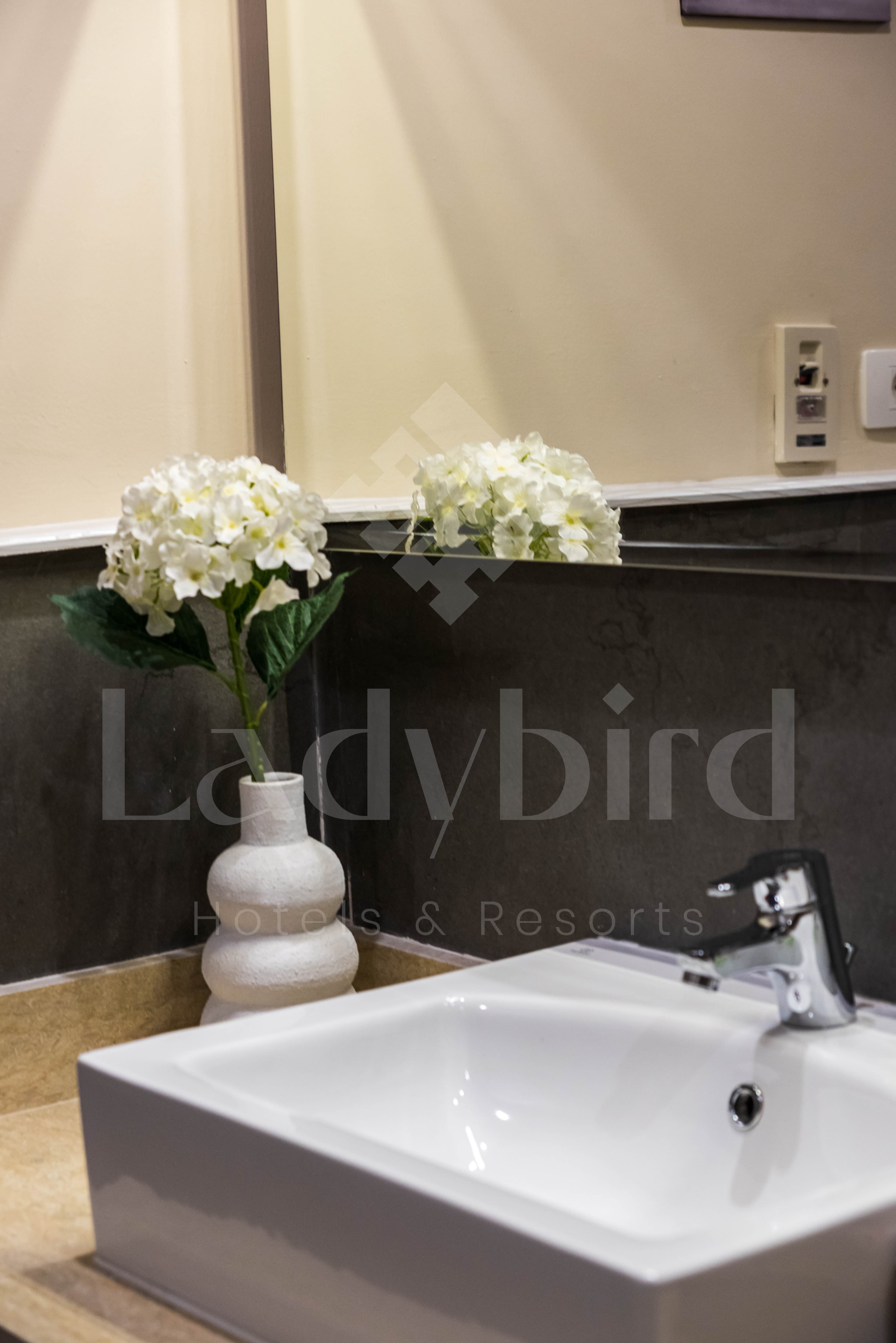 Ladybird - Azzurra 1 Bedroom Apt — az_56.jpg