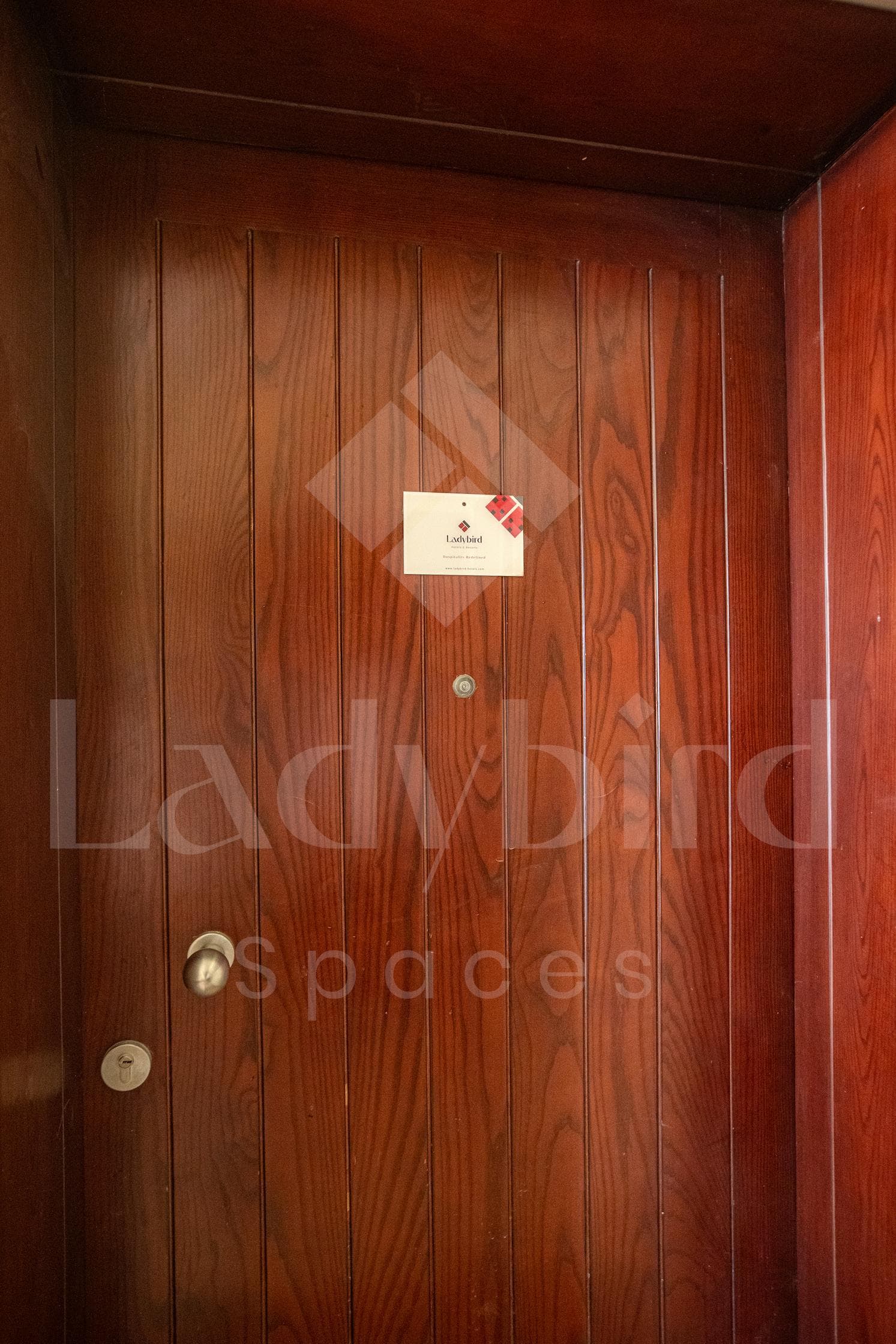 Ladybird - Veranda Celestia — vc_47.jpg