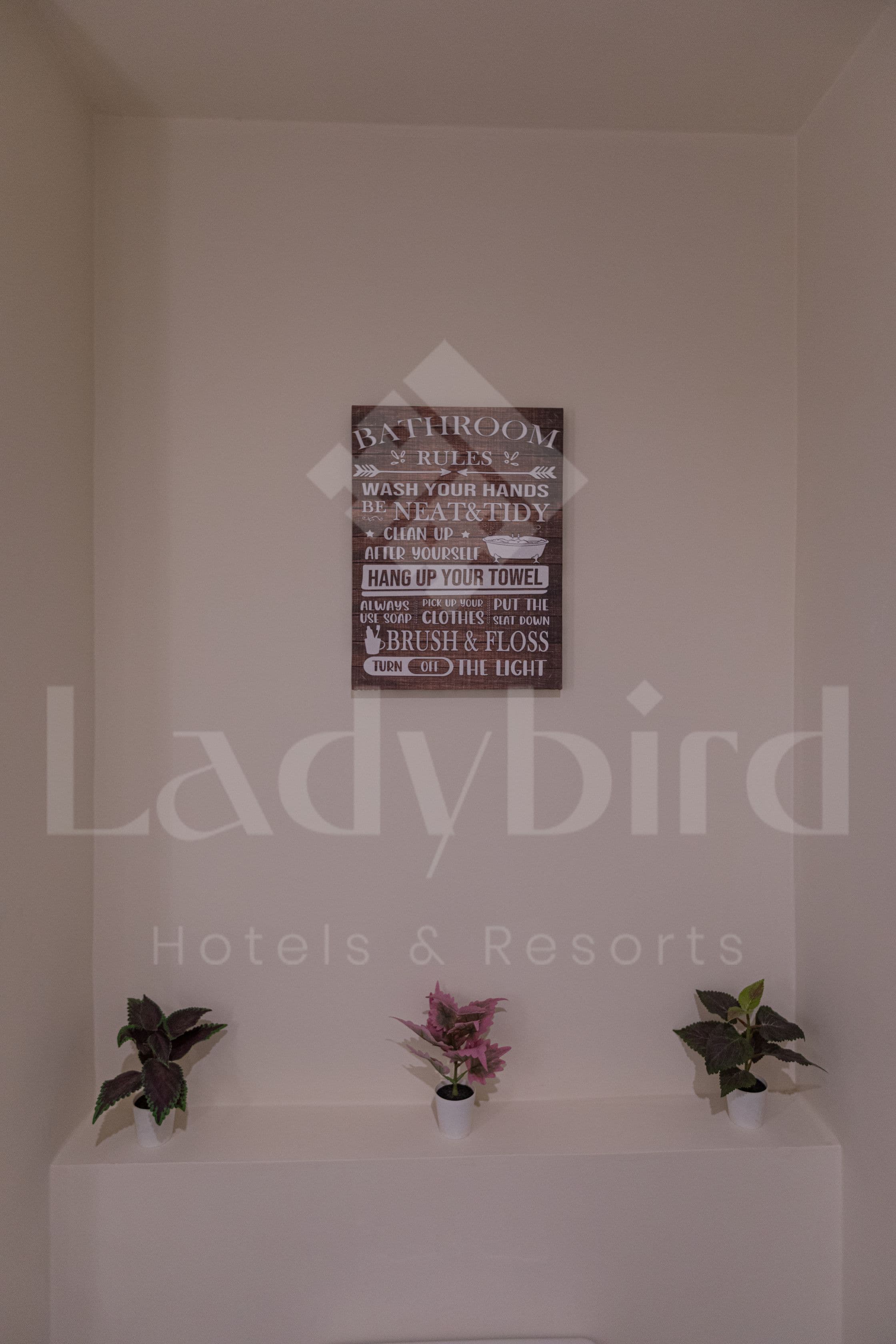 Ladybird - Veranda Highline — vh_30.jpg