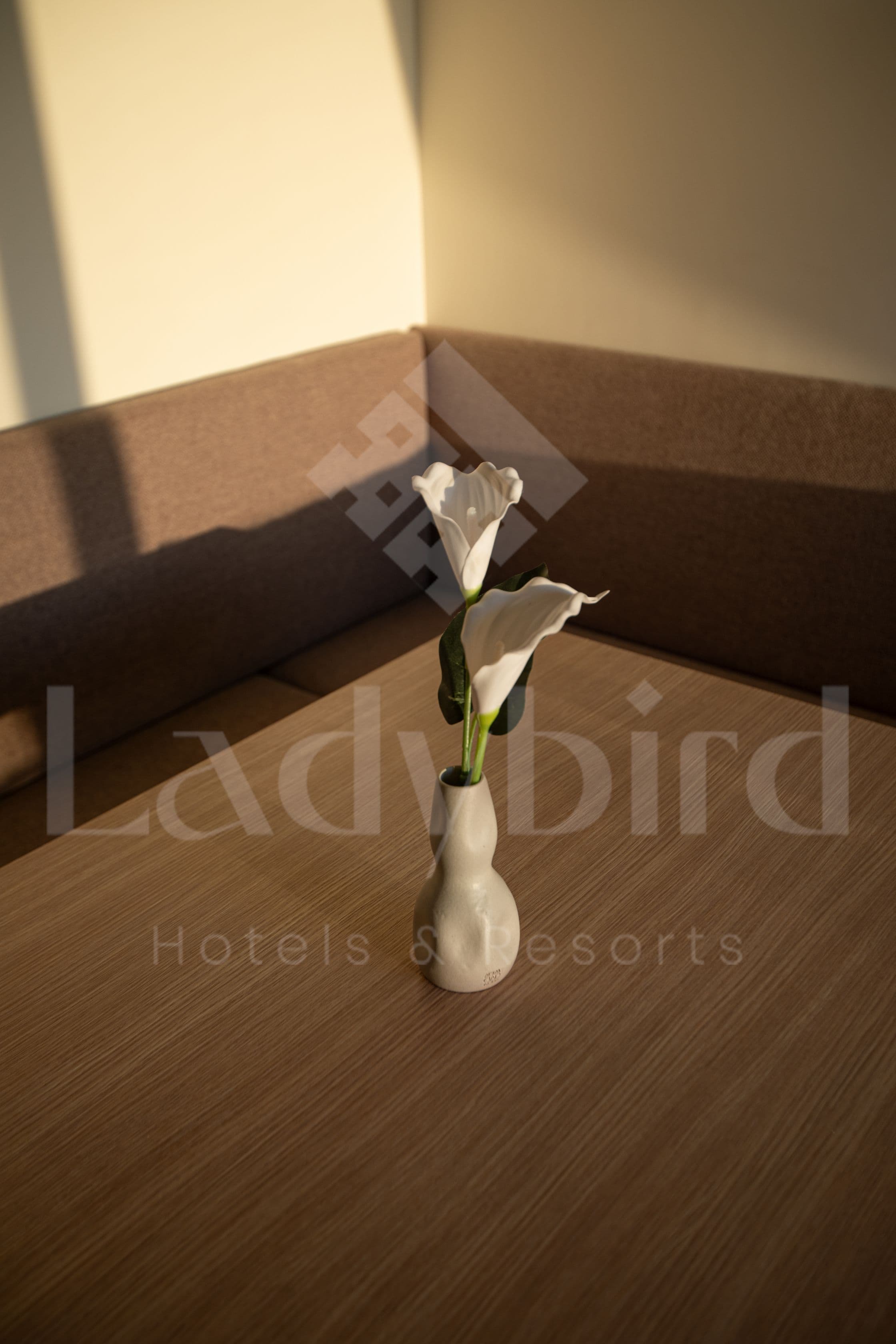 Ladybird - Veranda Highline — vh_6.jpg