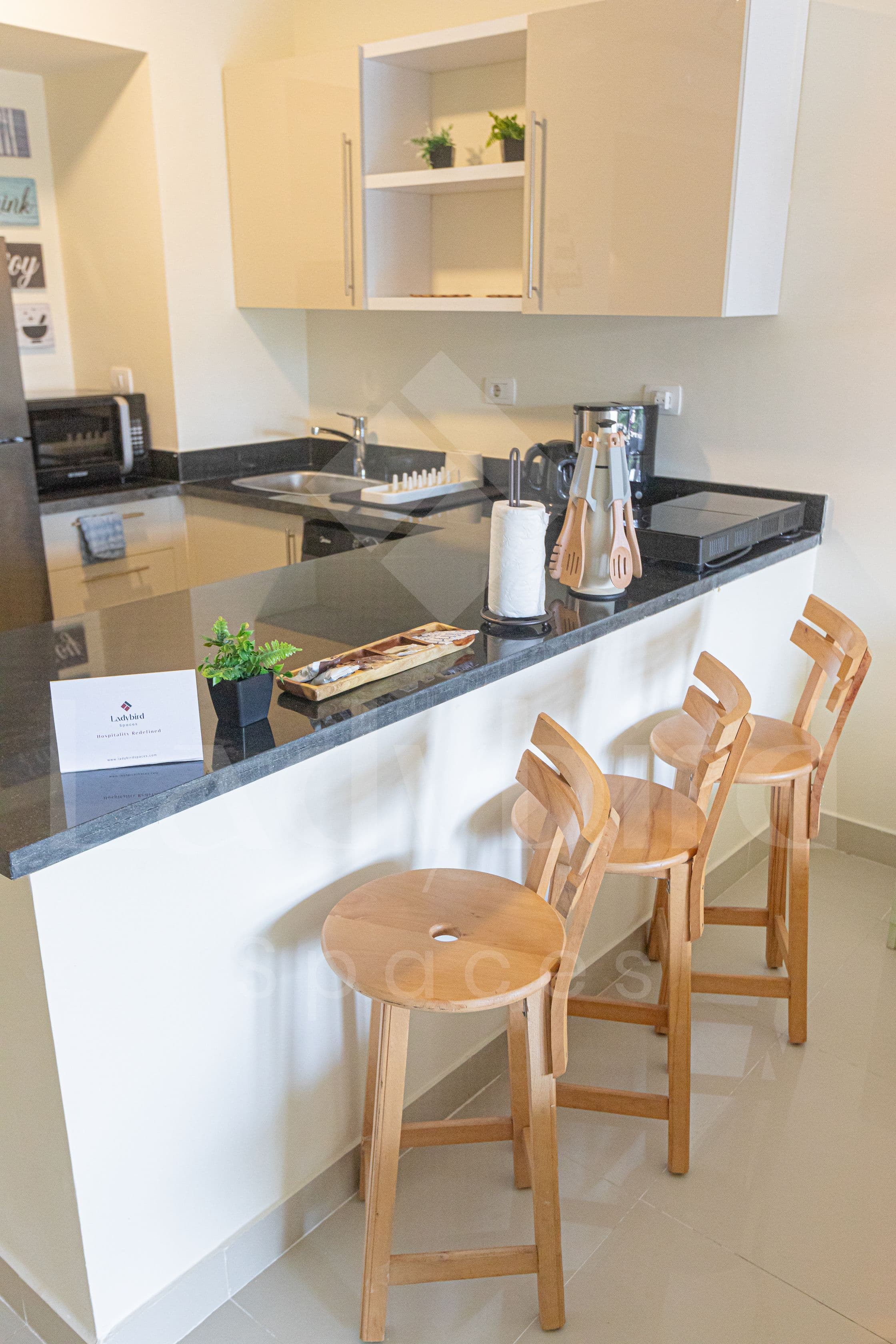 Ladybird - Veranda Loft — vl_26.jpg