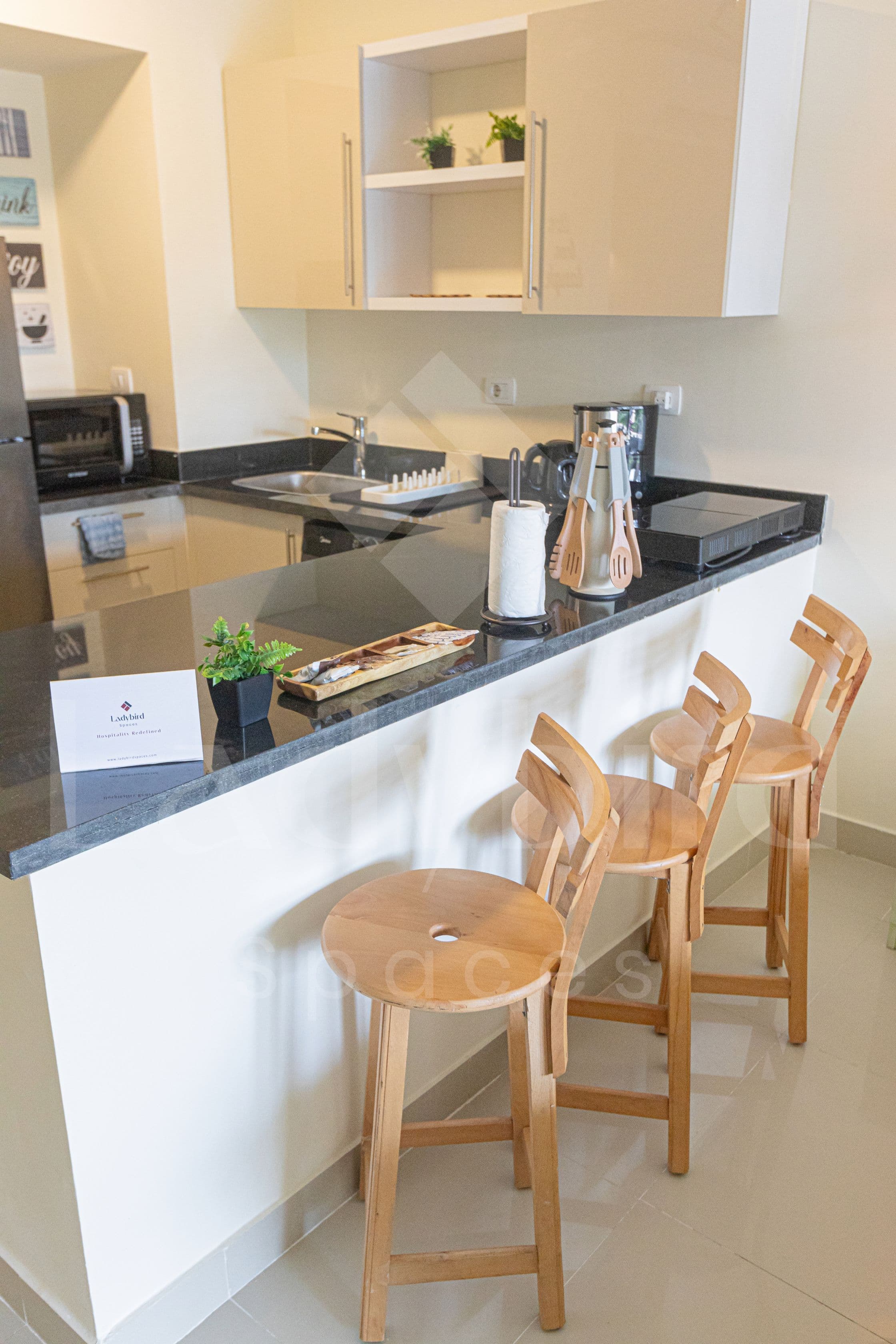 Ladybird - Veranda Loft — vl_36.jpg