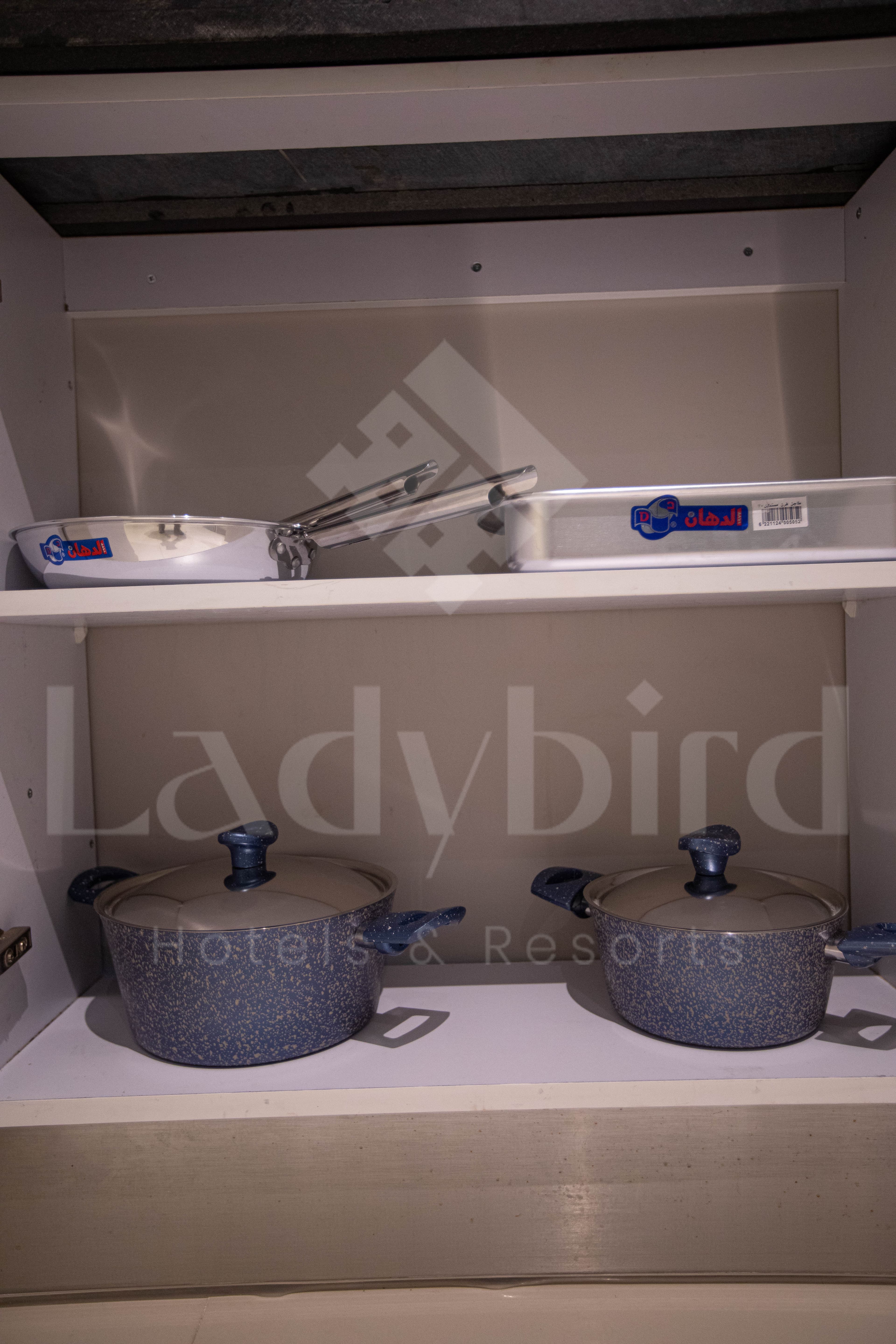 Ladybird - Porch Skyline — vps_19.jpg